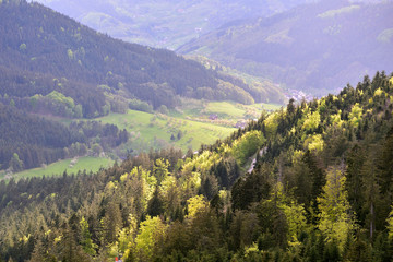 Fototapeta na wymiar Picturesque European landscape with mixed coniferous and deciduous forest on a background of a mountain valley with houses in the forest Schwarzwald, Germany