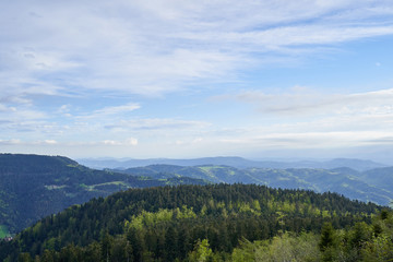 Picturesque landscape with coniferous forest and hills in the European forest of Schwarzwald, Germany. The concept of ecology, tourism