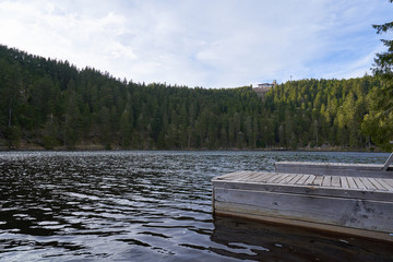 Mummelsee mountain lake in Schwarzwald and dense coniferous forest, Germany