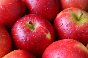 Fototapeta na wymiar Closeup heap of ripe red apples with water droplets