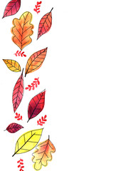 Autumn leaves outline drawing with watercolor for decoration on autumn festival.