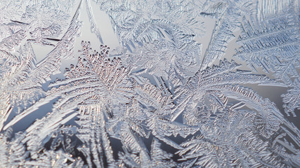 Ice pattern on a window glass in winter. Spectacular crystals of frozen water. It looks like a thicket of magic plants. Fantasies and fairy tales. Abstract background or wallpaper. Low contrast. Macro