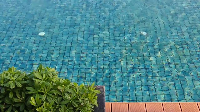 outdoor swimming pool with deck and garden