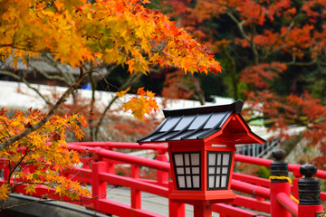 Red lantern in autumn season in the japanese garden in Minoo park, Japan