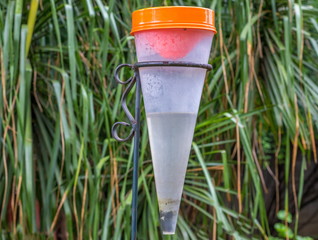 A rain gauge half full or half empty with rain water isolated against a green background image in...