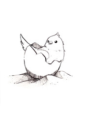 The birds in the eggshell lay on the sand. Line drawing cartoon style illustration on a white background. Design for pet artwork advertising, coloring book, textbook for small children.