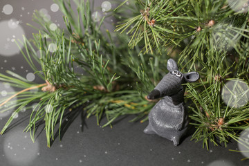 pine branches decorated with Christmas decorations on a black background. year of rat. postcard