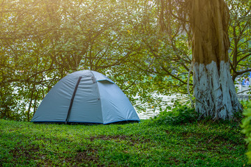 Silver camping in green and lush forest and grassland.