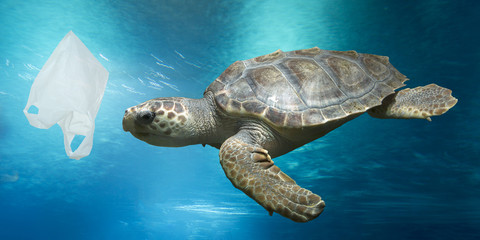 Fototapeta premium Plastic bag and turtle illustrating plastic pollution in the oceans