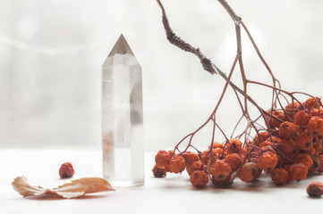Snow white large crystal of pure transparent quartz. Chalcedony gem on background of bunch rowan...