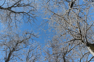winter