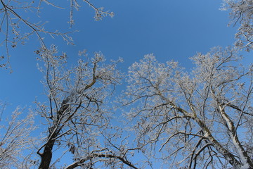 winter