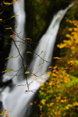Beautiful vibrant Autumn Fall landscape of flowing river and waterfall in Lake District