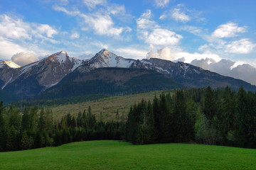 Fototapeta na wymiar Mountain hills, Carpathian mountains landscape in summer.