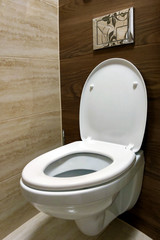 Mounted toilet bowl. Open toilet seat. interior
