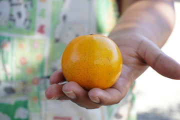 orange fruit held by a woman's hand