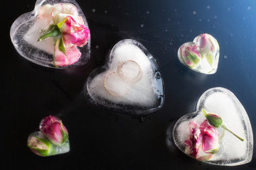 wedding rings in ice in the shape of a heart. rose buds in ice. the ice in shape of heart on black background