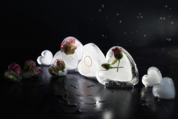 wedding rings in ice in the shape of a heart. rose buds in ice. the ice in shape of heart on black background