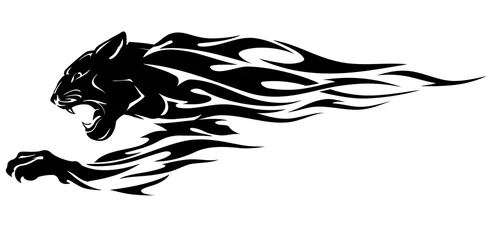 Foto op Plexiglas Black Panther Head, abstracte vlam © Draco77