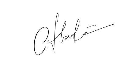 Manual signature for documents on white background. Hand drawn Calligraphy lettering Vector illustration