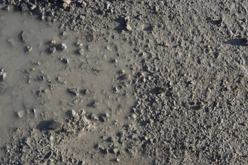 water puddle dirt road with small pebbles