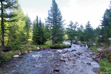 Obraz premium Bergbach