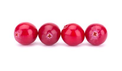 Cranberry isolated on white background closeup