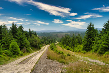 Fototapeta na wymiar Harzer Landschaft - Wanderweg schlängelt sich bis zum Horizont zwischen Tannenbäumen und einer Waldlandschaft mit blau bewölktem Himmel