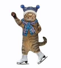 The beige cat with a raised paw dressed in a blue knitting hat and a scarf is skating. White...