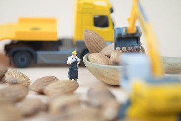 Miniature people chef selecting almond seed for selecting best quality.