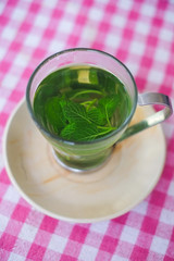 Fresh mint tea