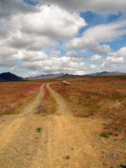 Weg auf Island © Fotolyse