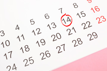 the calendar with the date of February 14 Valentine's day