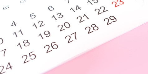 the calendar with the date of February 14 Valentine's day