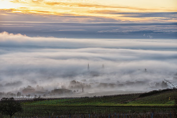 sausemheim in der pfalz im morgennebel