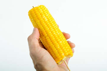 Hand holding a boiled sweetcorn on a stick isolated on white