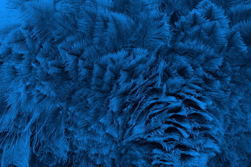 Straussenfederkleid blau 7427