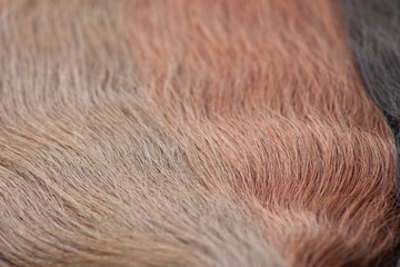Hair. Texture. Blurred background.