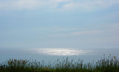 grass and the sea