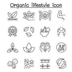 Organic lifestyle icon set in thin line style