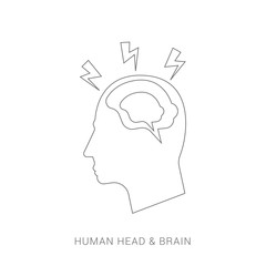 Human head with brain. Head with brain isolated