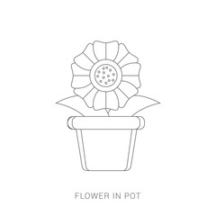 Flower in a pot vector isolated