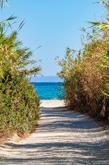 A dirt road to a wild beach
