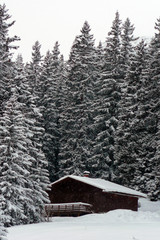 Oberlech Lech am Arlberg Vorarlberg Austrian Alps Austria