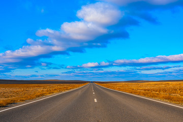 Fototapeta premium Empty asphalt road through the desert
