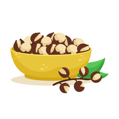 Vector illustration of a deep plate with a slide of macadamia. Nuts.