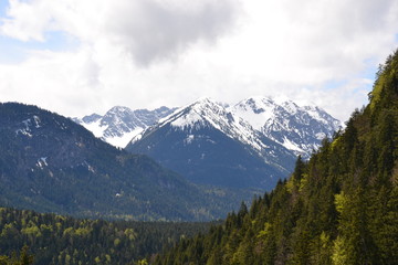 Fototapeta na wymiar Spring the majestic Austrian Alps