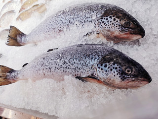 Fresh large rainbow trout in ice on a counter in a supermarket. The concept of tasty and healthy food, the choice of fish in the store.