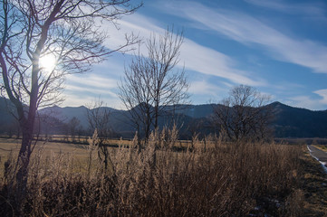 薄い雲の漂う青空と山並み。葉の落ちた木と草原。