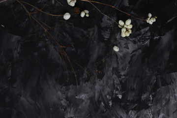 dark background with branches of white winter berries